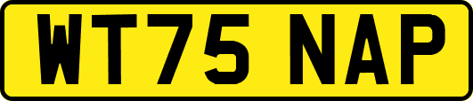 WT75NAP