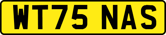WT75NAS