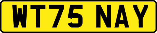 WT75NAY