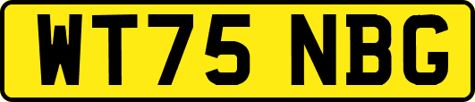 WT75NBG