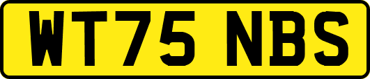 WT75NBS