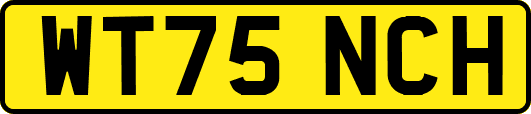 WT75NCH