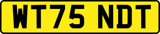 WT75NDT