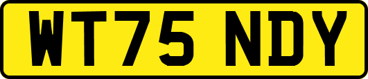 WT75NDY