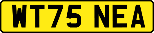 WT75NEA
