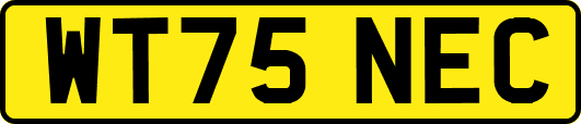 WT75NEC