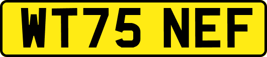 WT75NEF