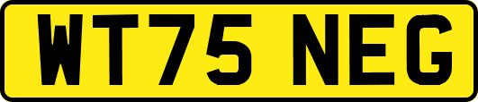 WT75NEG