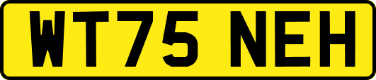 WT75NEH