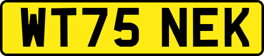 WT75NEK