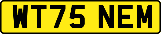 WT75NEM