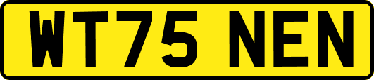 WT75NEN
