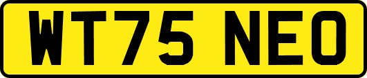 WT75NEO