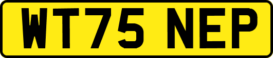 WT75NEP