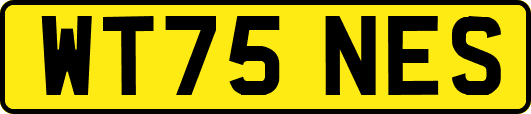 WT75NES
