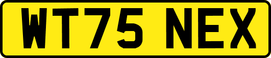 WT75NEX