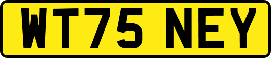 WT75NEY