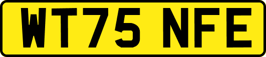 WT75NFE