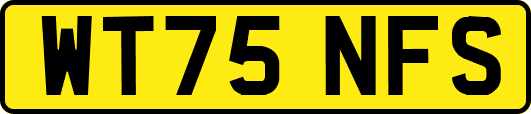 WT75NFS