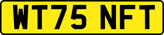 WT75NFT