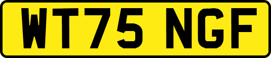 WT75NGF