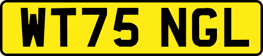 WT75NGL
