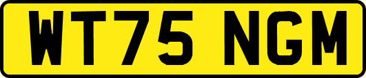 WT75NGM