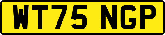 WT75NGP