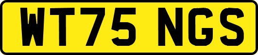 WT75NGS