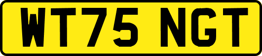 WT75NGT