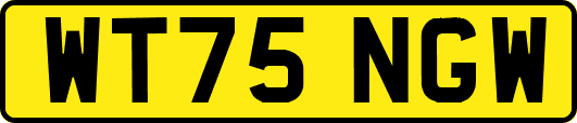 WT75NGW