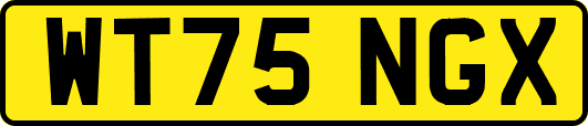 WT75NGX