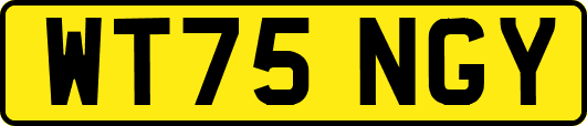 WT75NGY