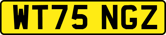 WT75NGZ