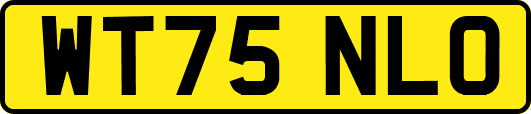 WT75NLO