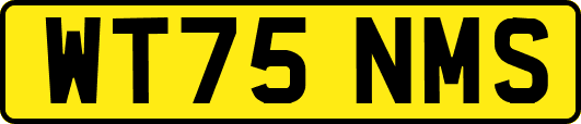WT75NMS