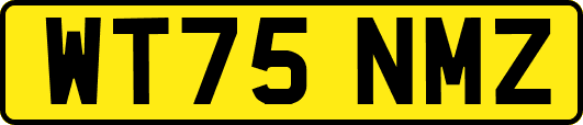 WT75NMZ