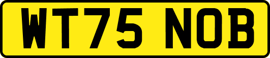 WT75NOB