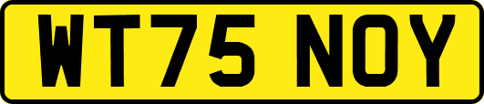 WT75NOY