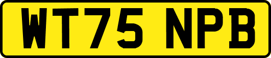 WT75NPB