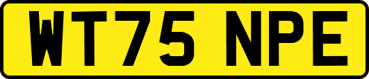 WT75NPE