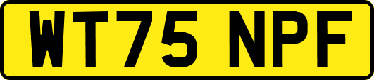 WT75NPF