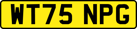 WT75NPG