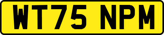 WT75NPM