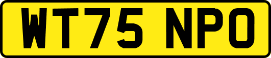 WT75NPO