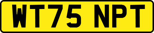 WT75NPT
