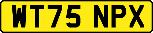 WT75NPX