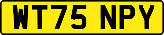 WT75NPY