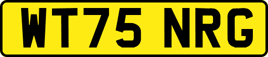 WT75NRG