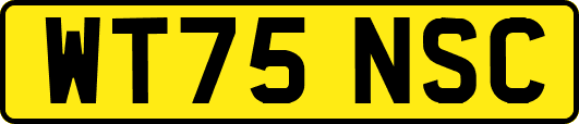 WT75NSC